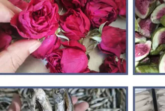 Freeze-dried roses