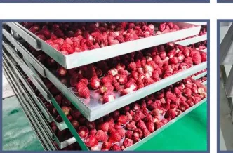 Freeze-dried strawberries
