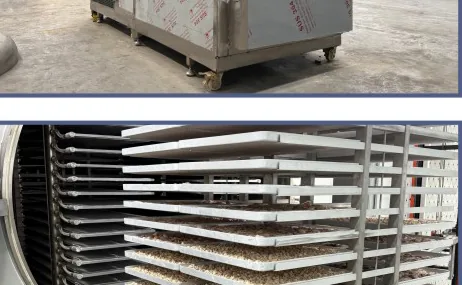 Loading trays and shelves
